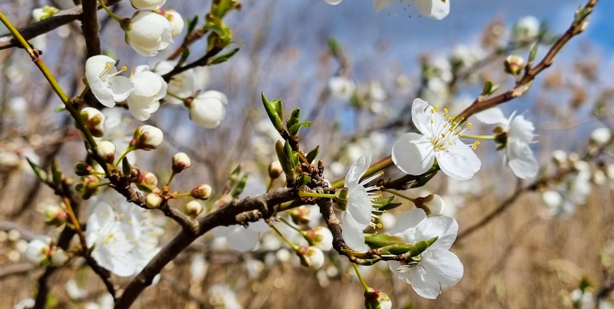 Chłodny weekend w powiecie legionowskim. Będzie deszcz i maksymalnie 12°C