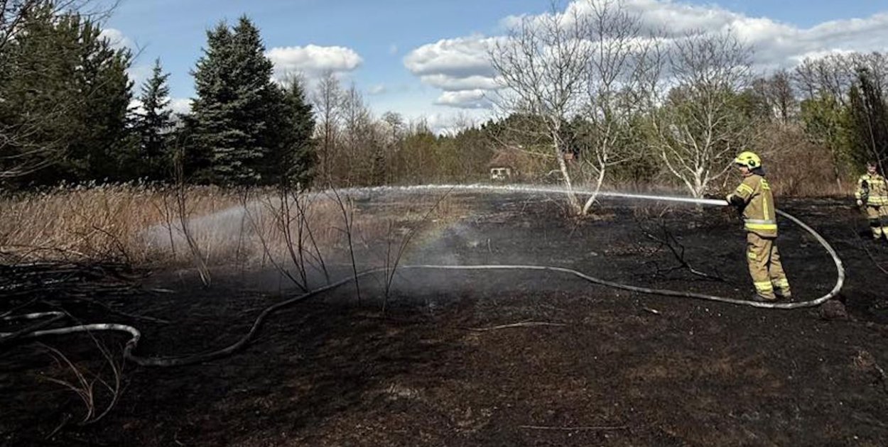 Pożar trawy w Józefowie. Ogień zagrażał zabudowaniom i lasowi