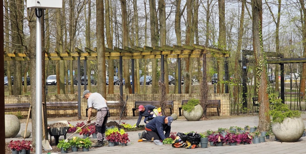Legionowo: Park Zdrowia z nowymi nasadzeniami. Jest kolorowo