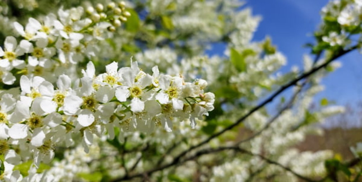 Legionowski: W ten weekend pogoda zaskoczy. W jaki sposób?